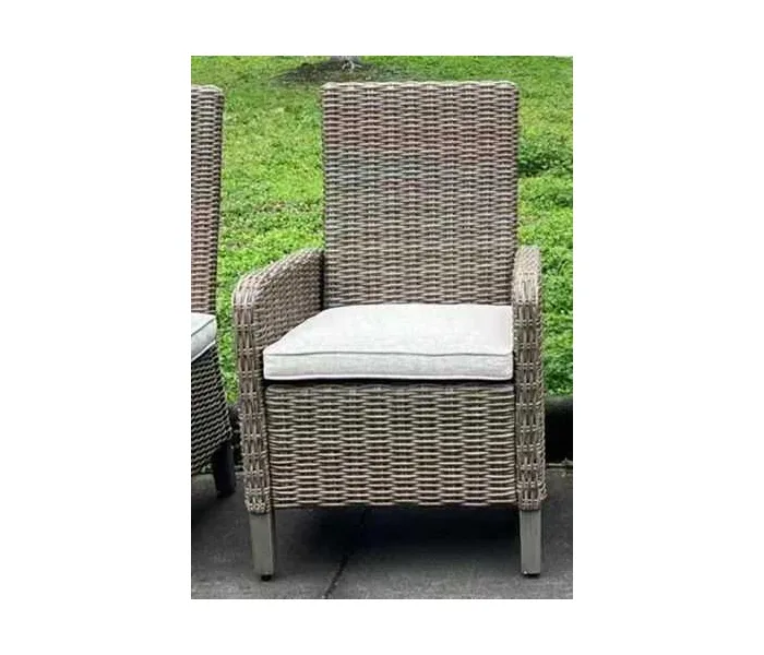 Laguna Heights Arm Chair With Cushion (Set of 2) Beige