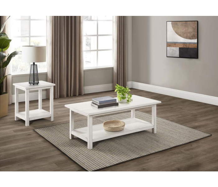 Payne - 2 Piece Coffee And End Table Set - Distressed