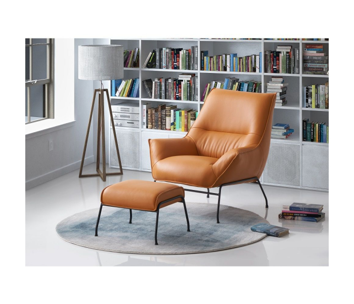 Stationary Chair & Ottoman