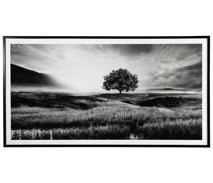 Deborland - Black / White - Wall Art
