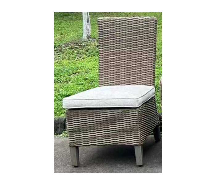 Laguna Heights Side Chair With Cushion (Set of 2) Beige