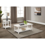 Payne - 2 Piece Coffee And End Table Set - Distressed