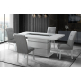 Monaco - 9 Piece Dining Room Set (Dining Table And 8 Dinning Chairs) - Grey / - Gray