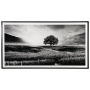 Deborland - Black / White - Wall Art
