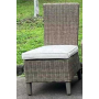 Laguna Heights Side Chair With Cushion (Set of 2) Beige