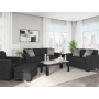 Jasmine Peaks 4 Pc. Sofa, Loveseat, Chair, Ottoman Coal