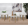 Aldis - 3 Piece Coffee And End Table Set