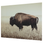 Brutus - Sepia - Wall Art
