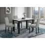 D8032 / D9026 - 2 Piece Dining Room Set (Dining Table And Dining Chair) - Black / Gray / - Black