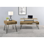 Fanning - 2 Piece Lift Top Coffee And End Table Set - Golden Oak