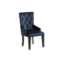 Varian II - Side Chair - Dark Navy Velvet & Black Finish