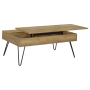 Fanning - Engineered Wood Lift Top Coffee Table - Golden Oak, 47.25"