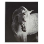 Archerwick - Black / White - Wall Art