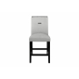 Monaco - Bar Stool - Gray / - Gray