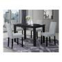 D8032 / D9026 - 2 Piece Dining Room Set (Dining Table And Dining Chair) - Black / Silver - Black